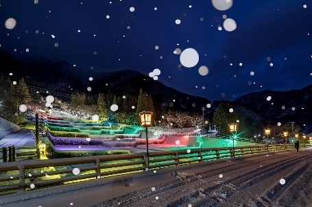 栃尾溫泉洞谷雪櫻燈光秀