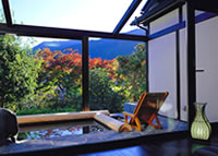 Main Onsen