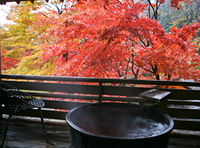 Main Onsen