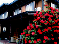 Main Onsen