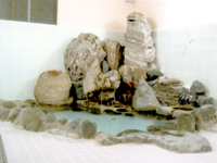 Main Onsen