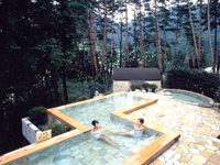 Main Onsen